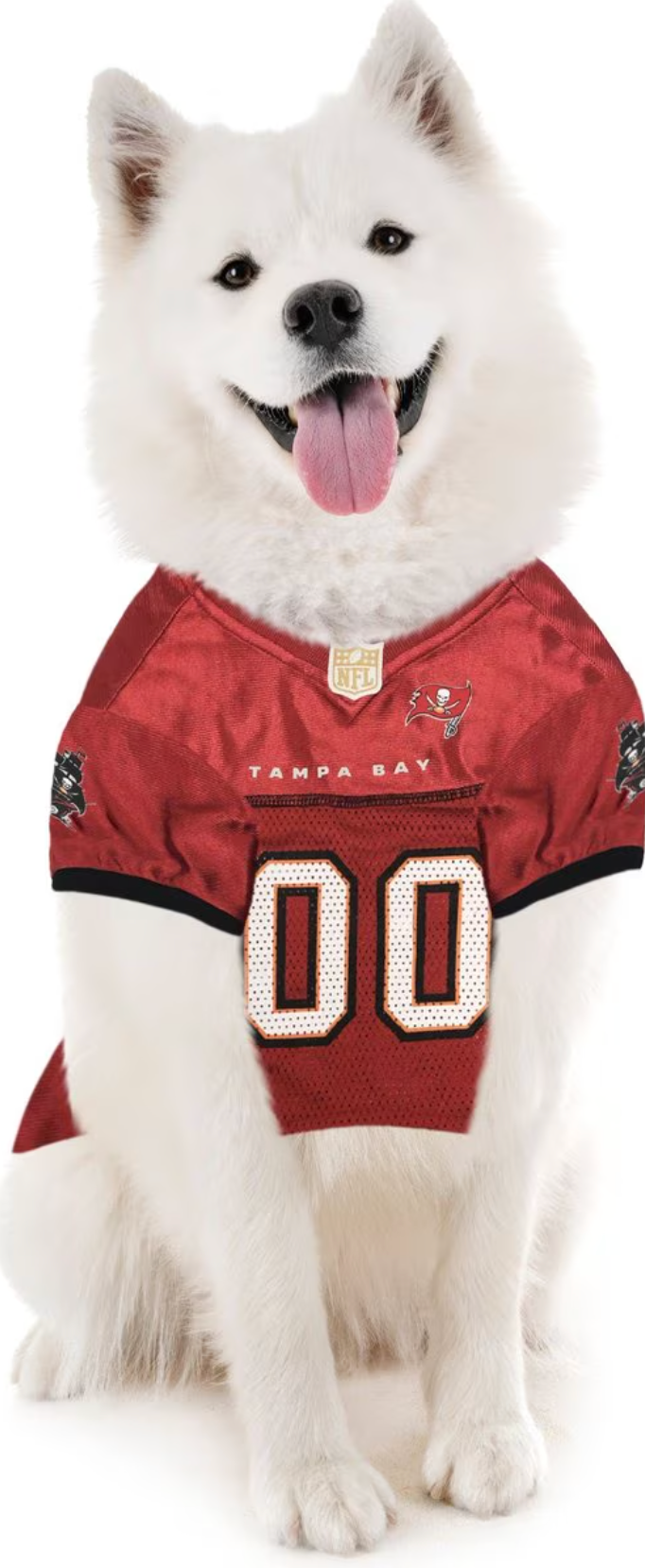 Pets First NFL Dog & Cat Jersey, Tampa Bay Buccaneers