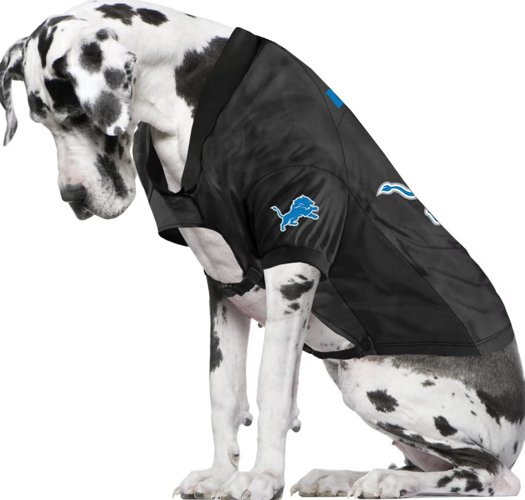 NFL Stretch Dog & Cat Jersey, Detroit Lions