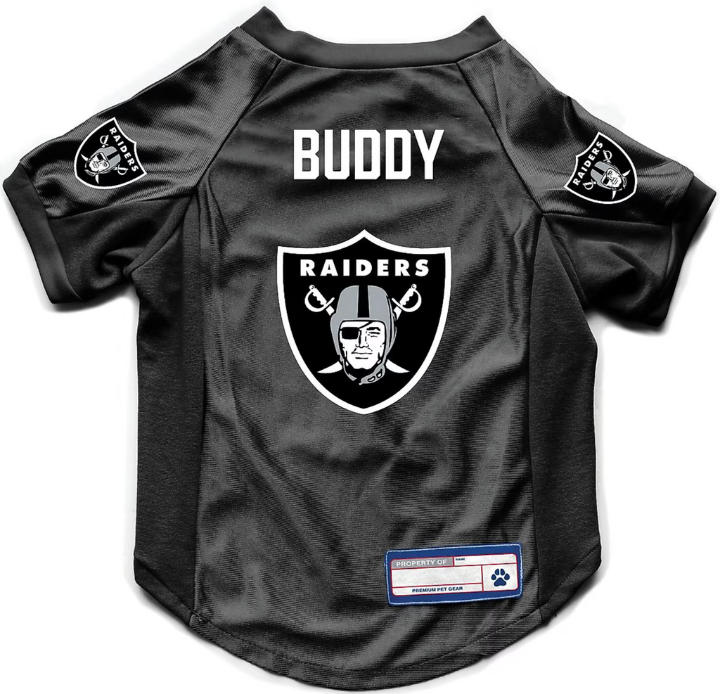 NFL Buddy Stretch Dog & Cat Jersey, Las Vegas Raiders