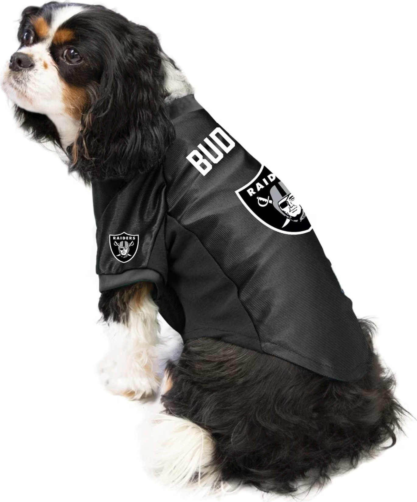 NFL Buddy Stretch Dog & Cat Jersey, Las Vegas Raiders