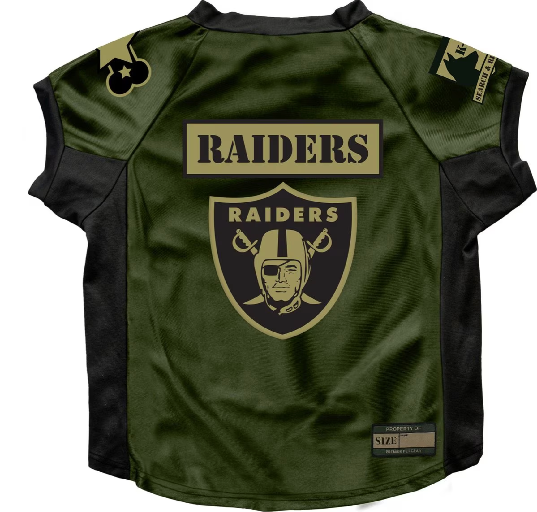 NFL Valor Stretch Jersey for Dogs & Cats, Las Vegas Raiders