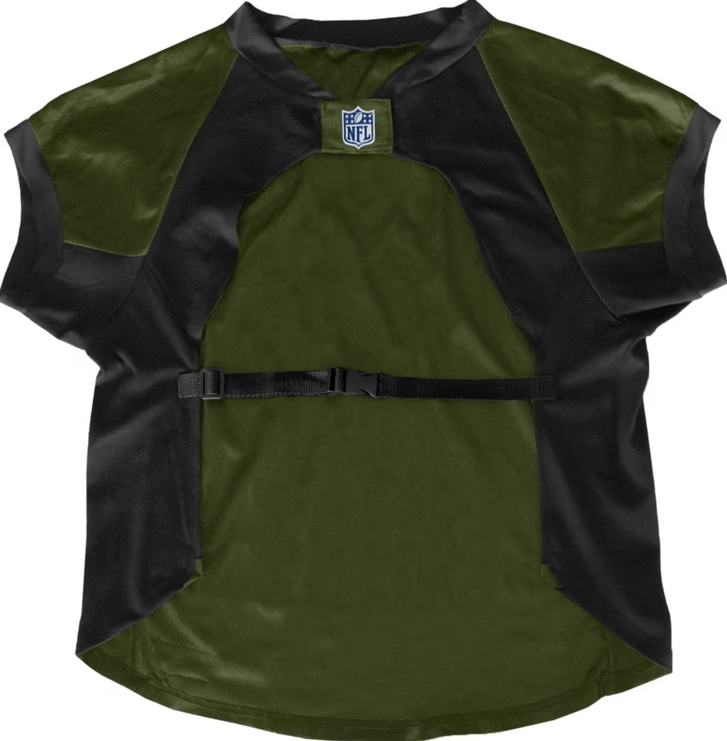 NFL Valor Stretch Jersey for Dogs & Cats, Las Vegas Raiders