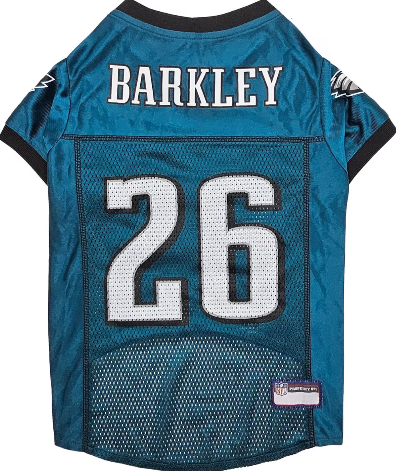 Pets First NFL Player, Saquon Barkley